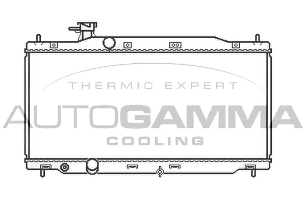 Radiator, engine cooling (105792)