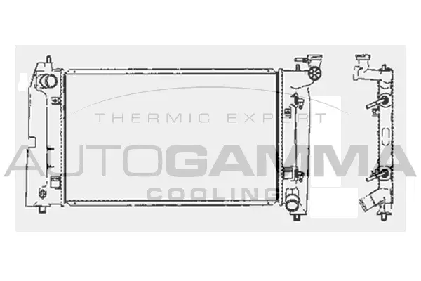 Radiator, engine cooling (104197)