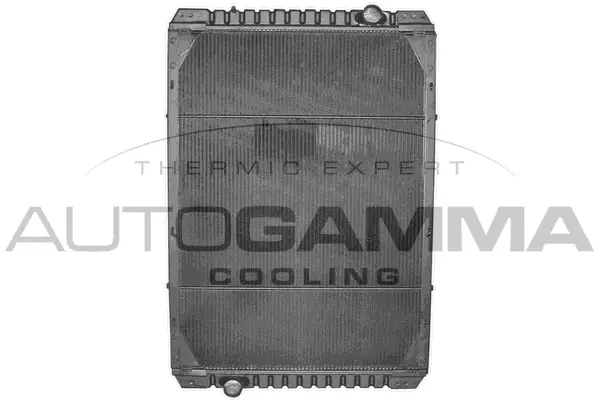 Radiator, engine cooling (400472)