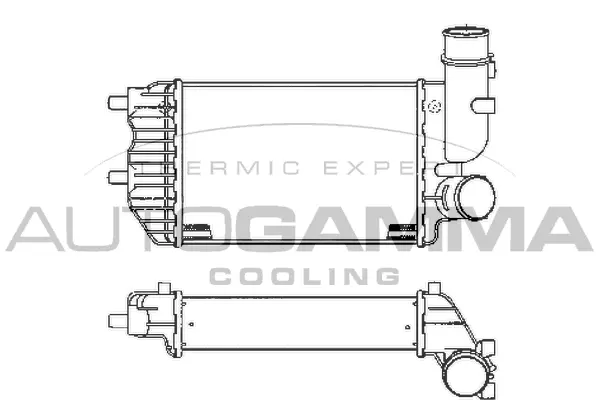 Charge Air Cooler (101888)
