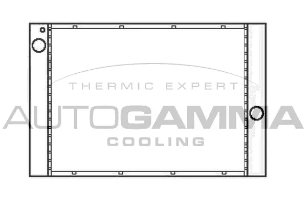 Radiator, engine cooling (105786)