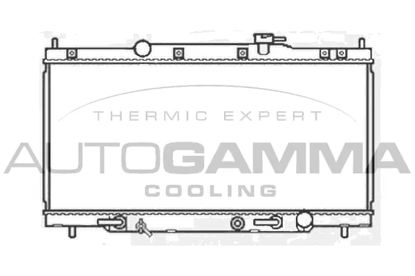 Radiator, engine cooling (103929)
