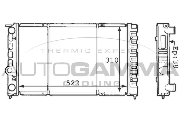 Radiator, engine cooling (100959)