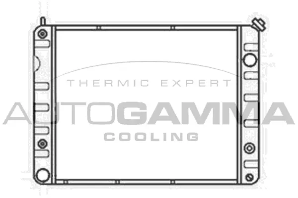 Radiator, engine cooling (100789)
