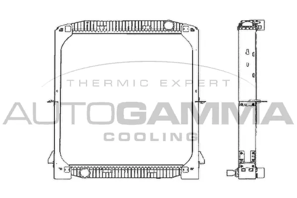 Radiator, engine cooling (404066)