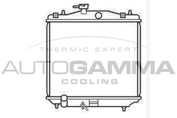 Radiator, engine cooling (103780)