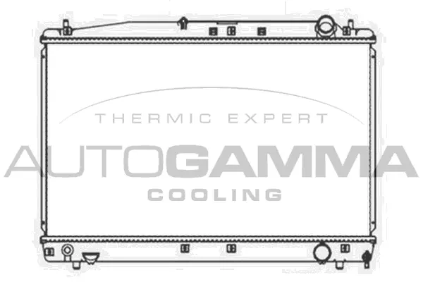 Radiator, engine cooling (103713)