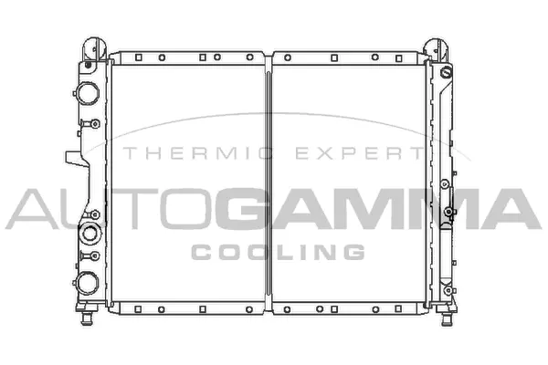Radiator, engine cooling (100014)