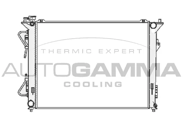 Radiator, engine cooling (104835)