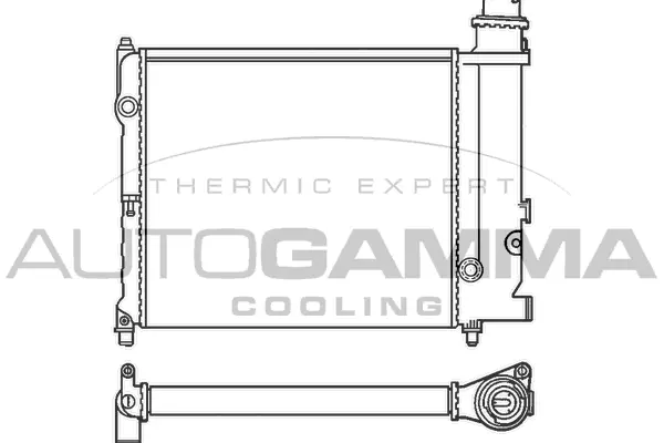 Radiator, engine cooling (100161)