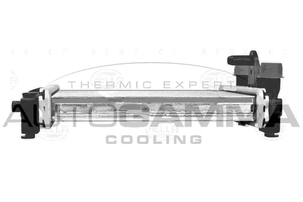 Radiator, engine cooling (107475)