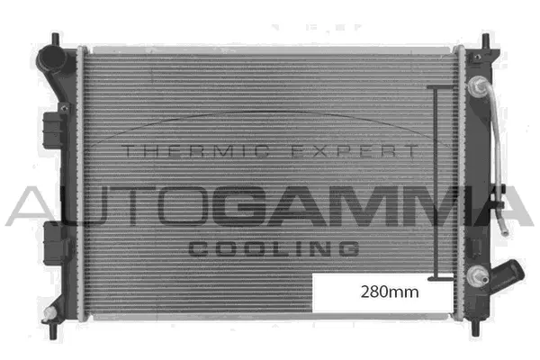 Radiator, engine cooling (107954)