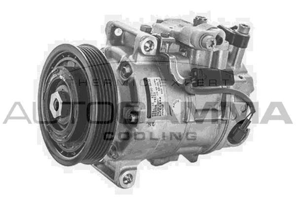 Compressor, air conditioning (118707)