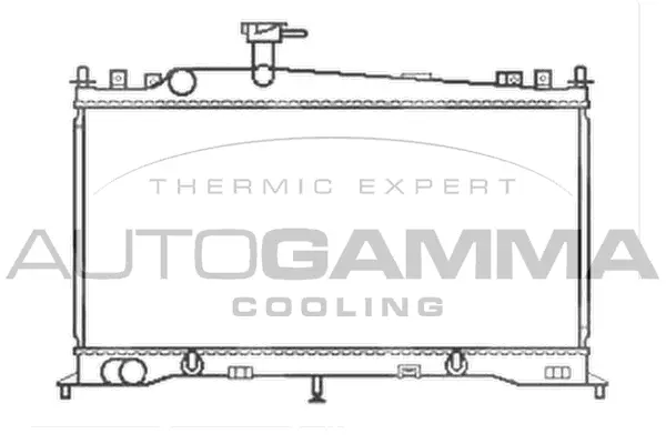 Radiator, engine cooling (103439)