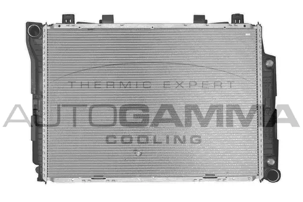 Radiator, engine cooling (102165)