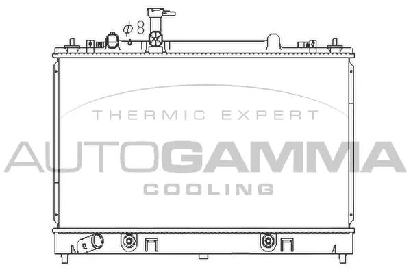 Radiator, engine cooling (107281)