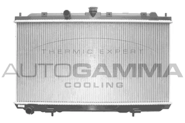 Radiator, engine cooling (103498)