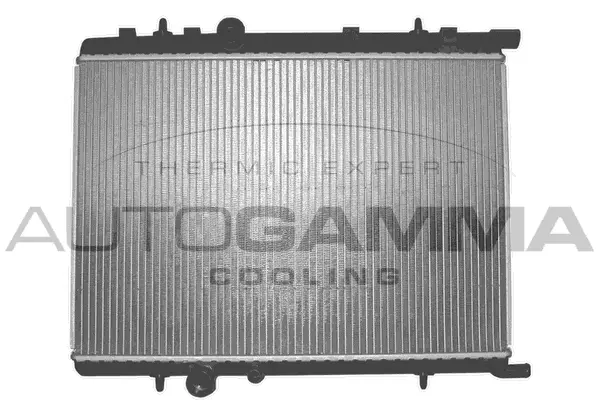 Radiator, engine cooling (102878)