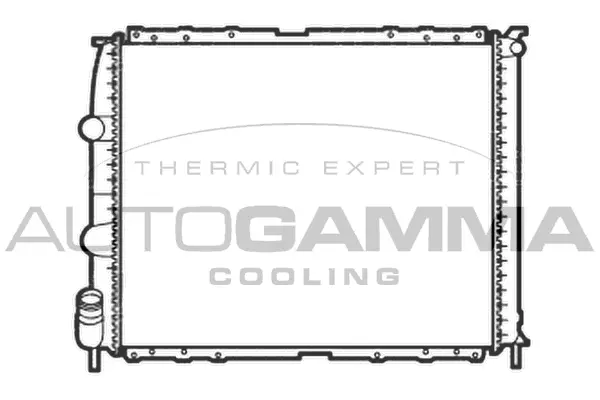 Radiator, engine cooling (103369)