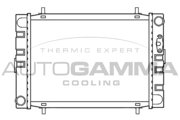 Radiator, engine cooling (100069)