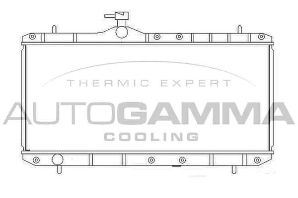 Radiator, engine cooling (104106)