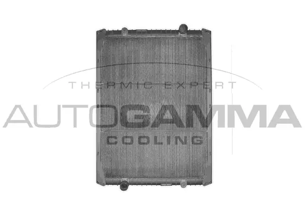 Radiator, engine cooling (400354)