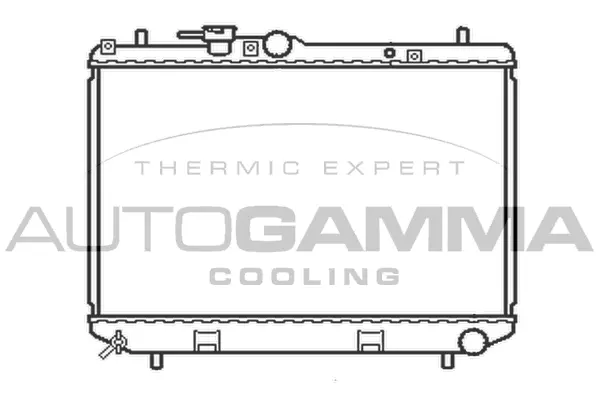 Radiator, engine cooling (103913)