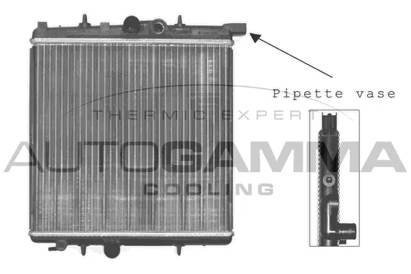 Radiator, engine cooling (101231)