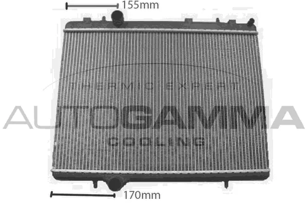 Radiator, engine cooling (107755)