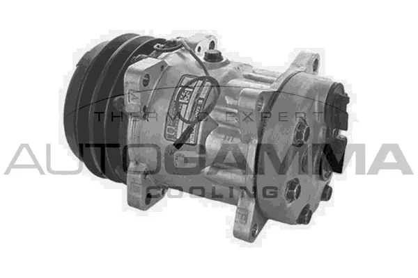 Compressor, air conditioning (118731)