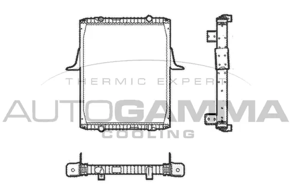Radiator, engine cooling (401022)