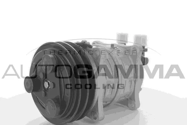 Compressor, air conditioning (109101)