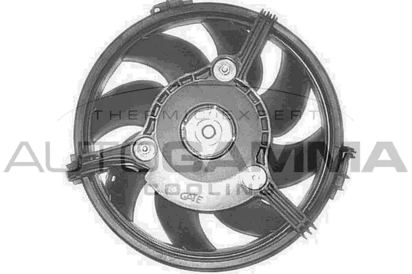 Fan, engine cooling (GA201569)