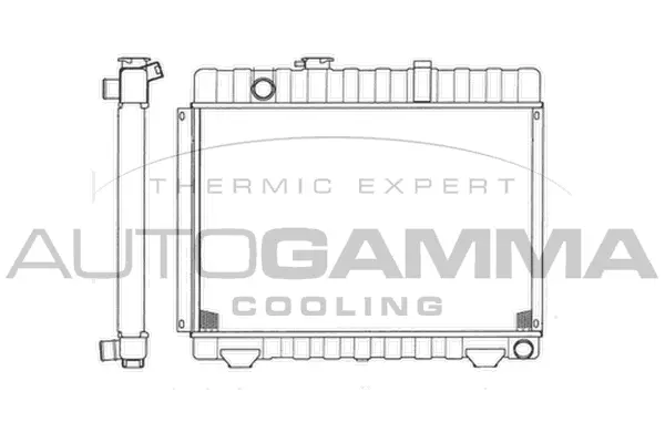 Radiator, engine cooling (403472)