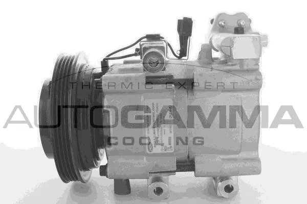 Compressor, air conditioning (118494)