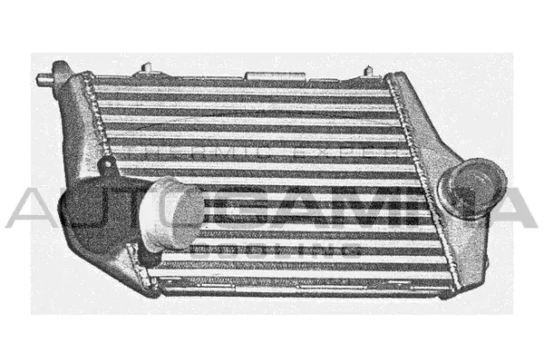 Charge Air Cooler (103887)