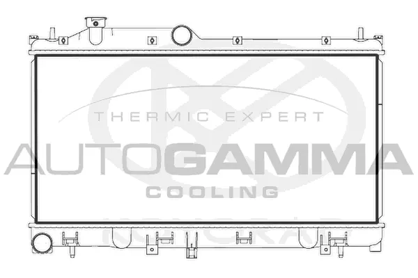 Radiator, engine cooling (107720)