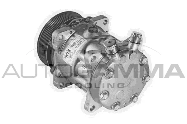 Compressor, air conditioning (108099)