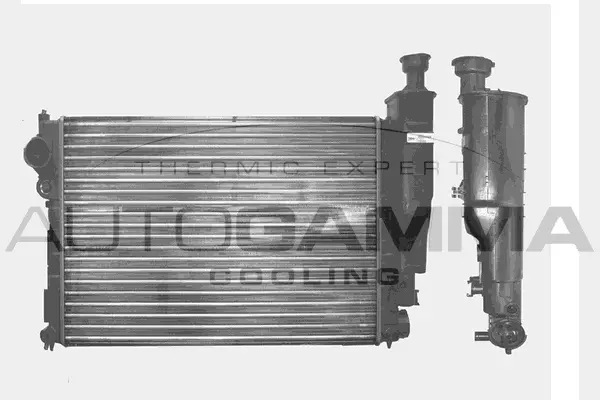 Radiator, engine cooling (100769)