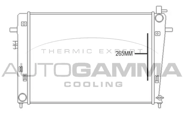 Radiator, engine cooling (107375)