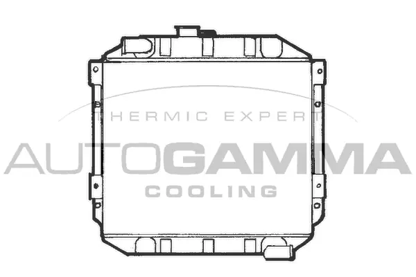 Radiator, engine cooling (100325)