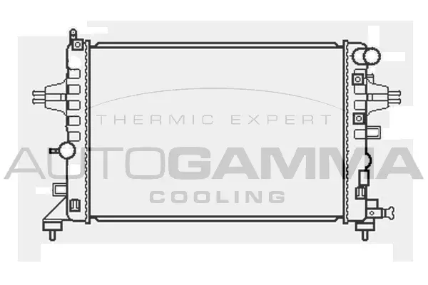 Radiator, engine cooling (105054)
