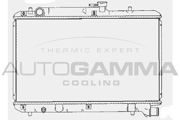 Radiator, engine cooling (102324)