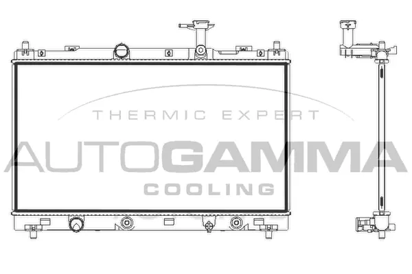 Radiator, engine cooling (107847)