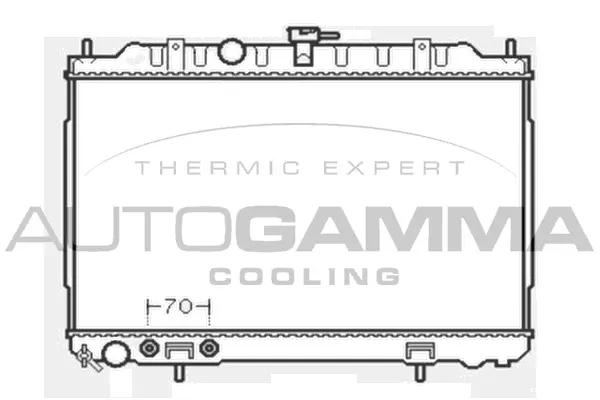 Radiator, engine cooling (103348)