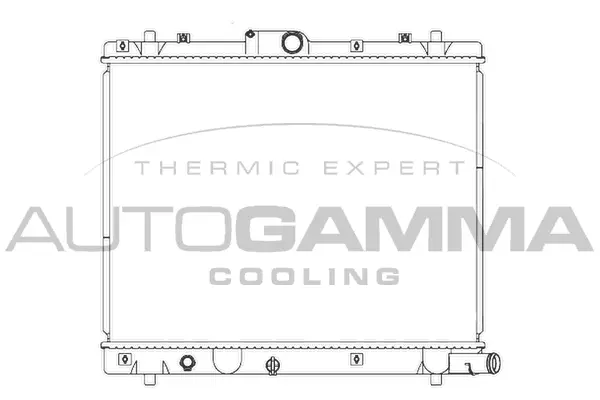 Radiator, engine cooling (107283)