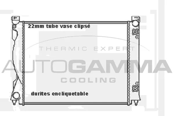 Radiator, engine cooling (104030)