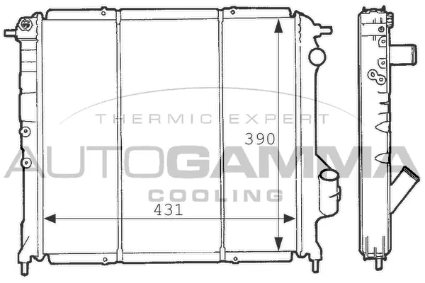 Radiator, engine cooling (100894)