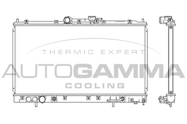 Radiator, engine cooling (103970)