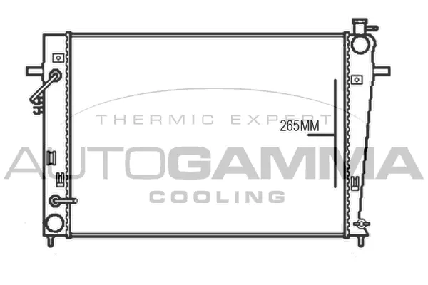 Radiator, engine cooling (107376)